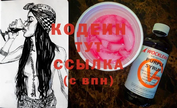 ПСИЛОЦИБИНОВЫЕ ГРИБЫ Горно-Алтайск