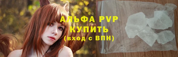 прущие грибы Горняк