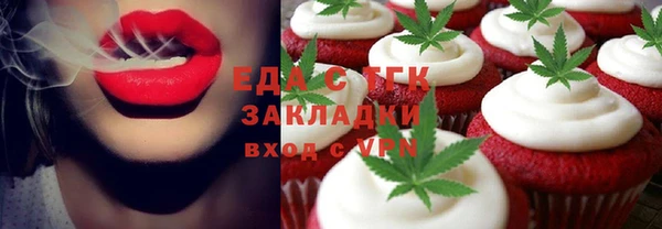 прущие грибы Горняк