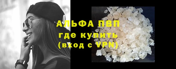 гашик Гусев