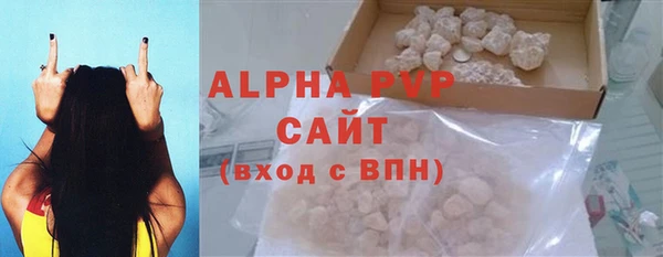 прущие грибы Горняк
