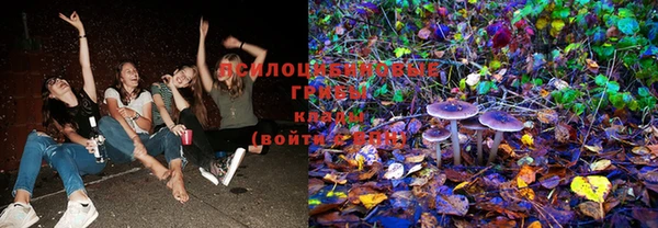 PSILOCYBIN Горнозаводск