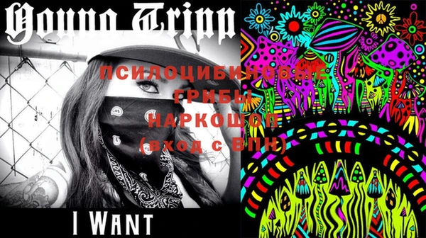 PSILOCYBIN Горнозаводск