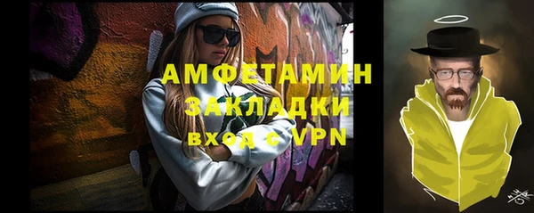 ПСИЛОЦИБИНОВЫЕ ГРИБЫ Горно-Алтайск