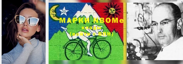гашик Гусев