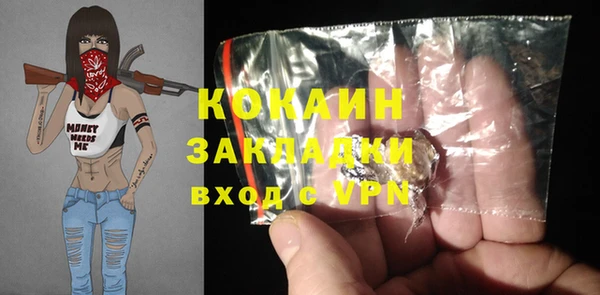 прущие грибы Горняк