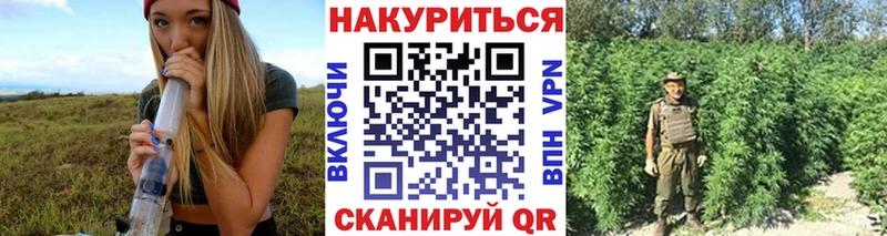 omg как зайти  Гусь-Хрустальный  сайты даркнета состав  Каннабис сатива 